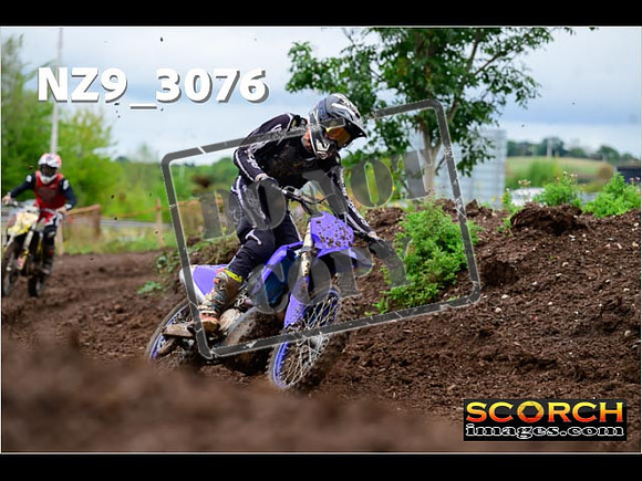 Experts-263