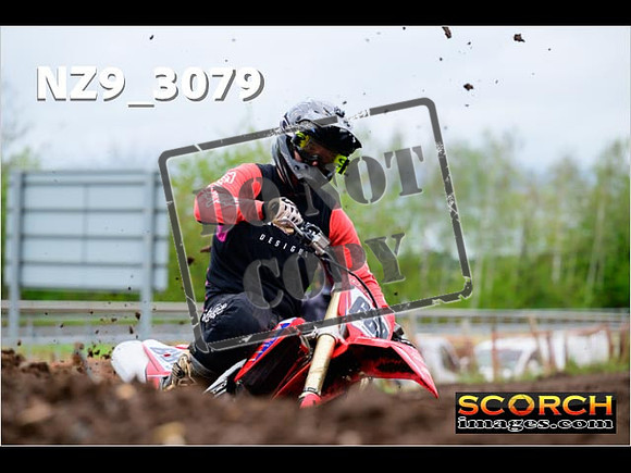 Experts-266
