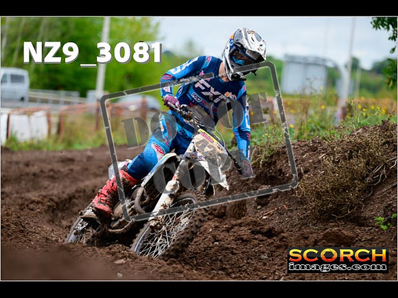 Experts-268