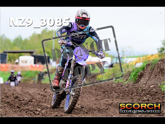 Experts-272
