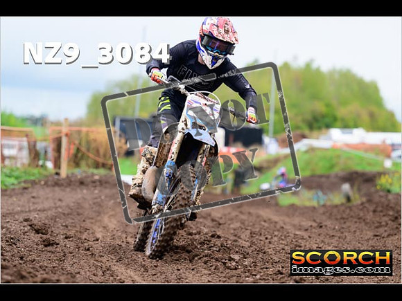 Experts-271
