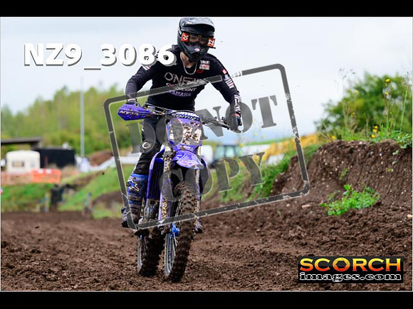Experts-273