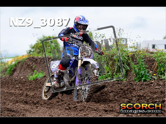 Experts-274