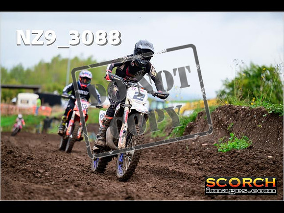 Experts-275