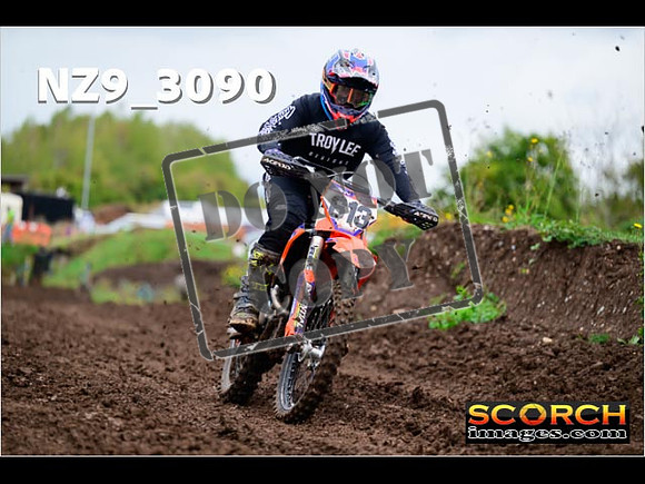 Experts-276