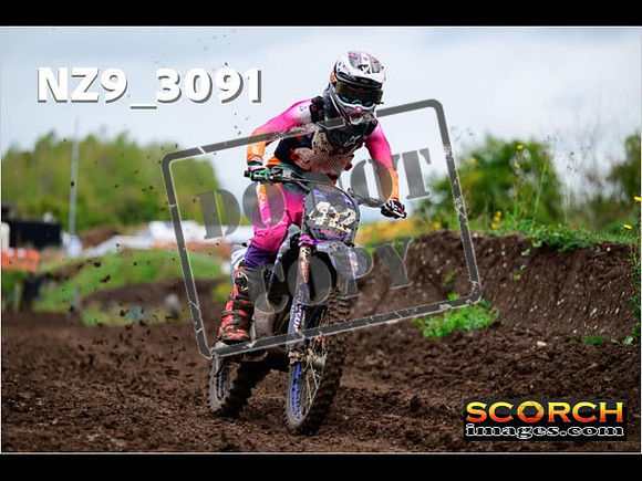 Experts-277