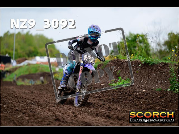 Experts-278