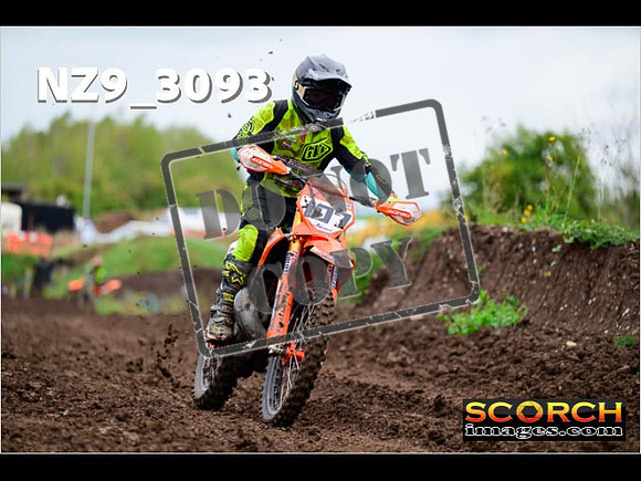 Experts-279