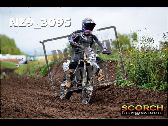 Experts-281