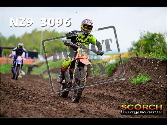 Experts-282