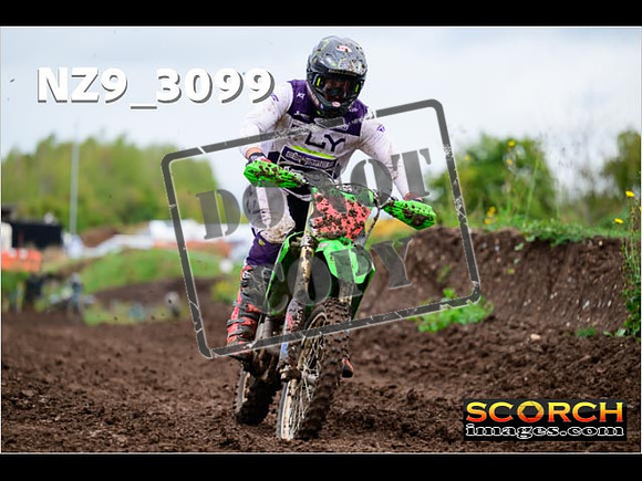 Experts-284