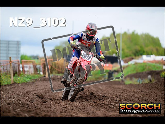 Experts-287