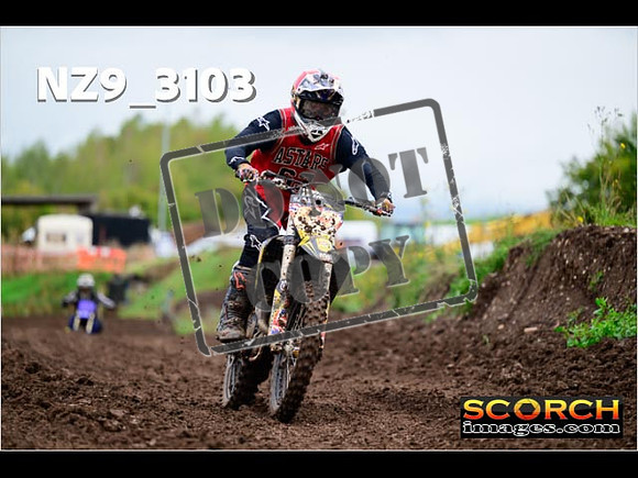 Experts-288