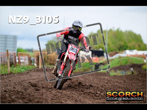 Experts-290