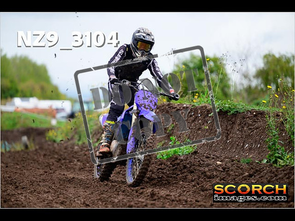 Experts-289