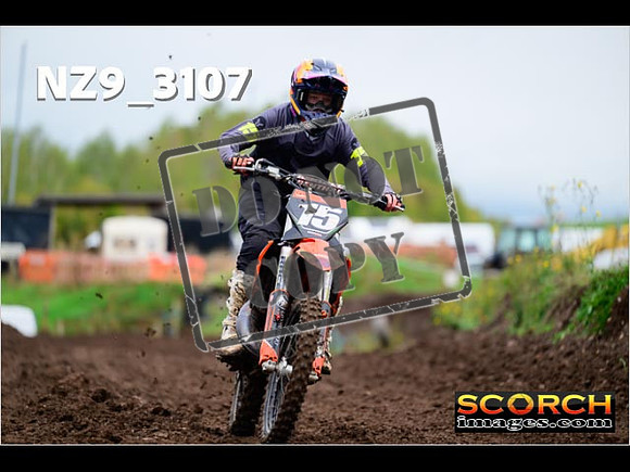 Experts-292