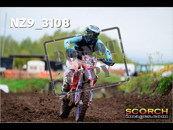 Experts-293