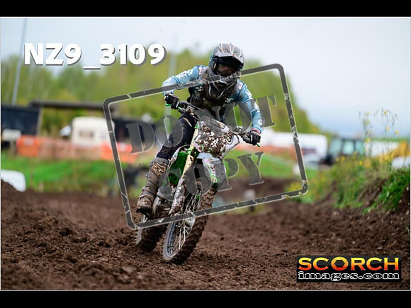 Experts-294