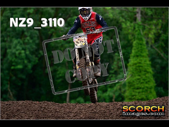 Experts-295