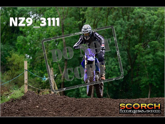 Experts-296