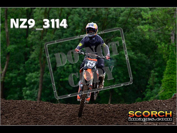 Experts-299