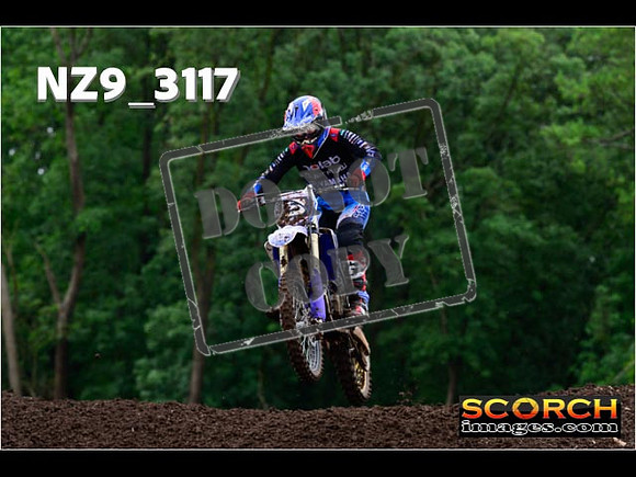 Experts-302