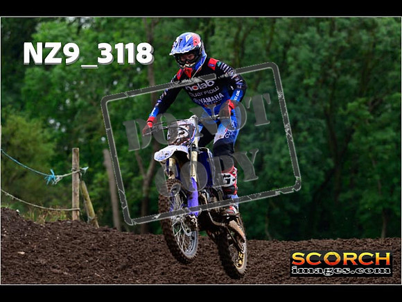 Experts-303