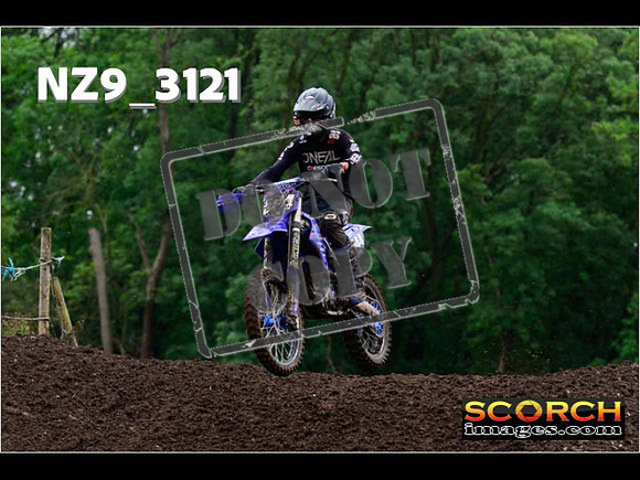 Experts-306