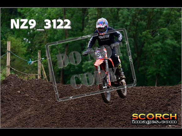 Experts-307