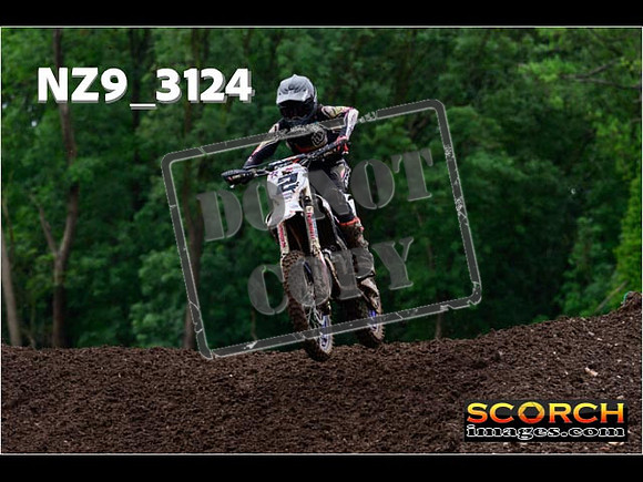 Experts-308