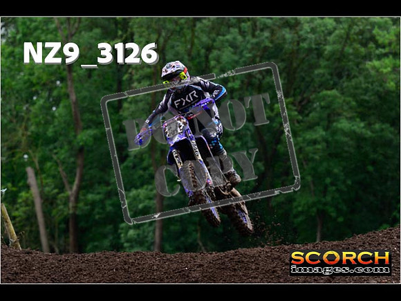 Experts-310