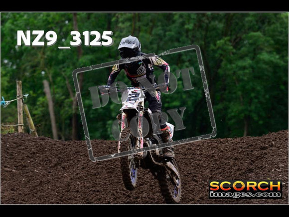 Experts-309