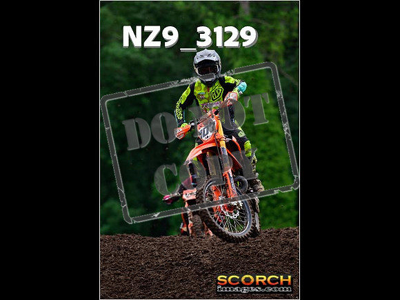 Experts-313