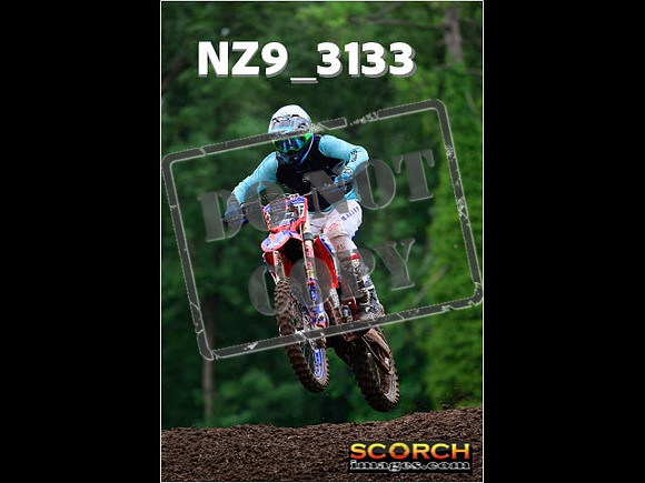 Experts-317