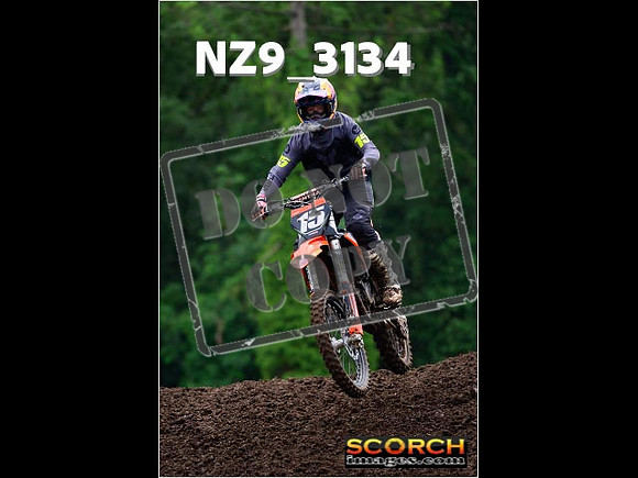 Experts-318