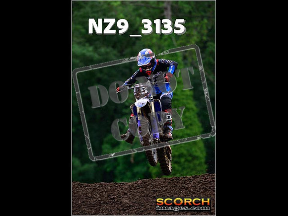 Experts-319