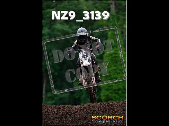 Experts-323