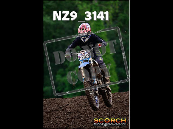 Experts-325