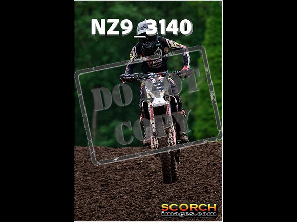 Experts-324