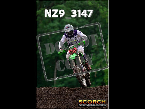 Experts-331