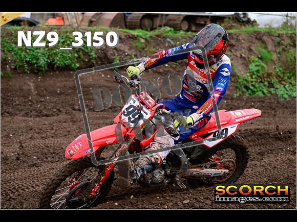 Experts-334