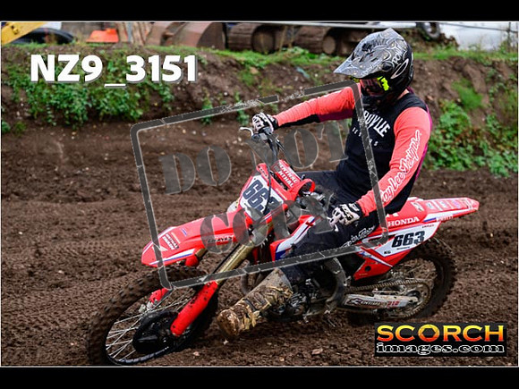 Experts-335