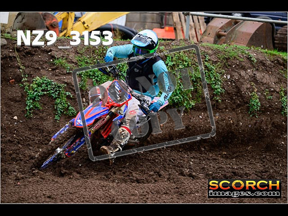 Experts-337