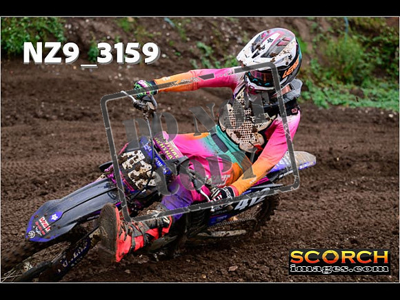 Experts-341