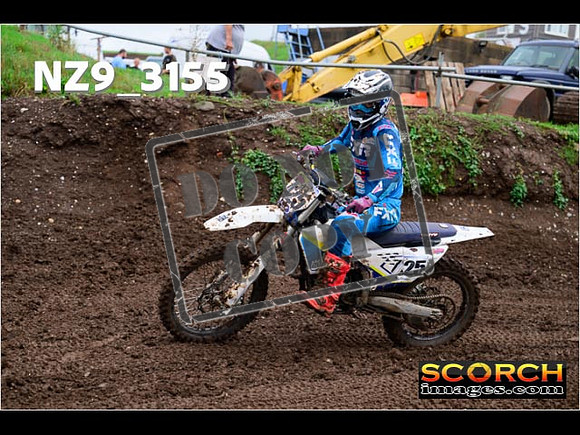 Experts-339