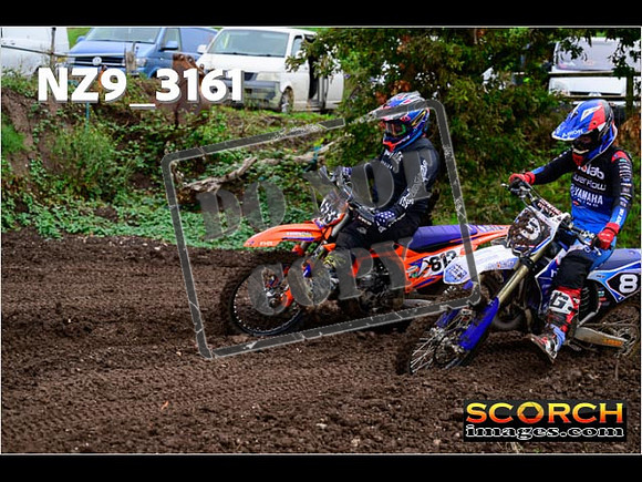 Experts-343