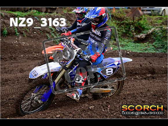 Experts-345