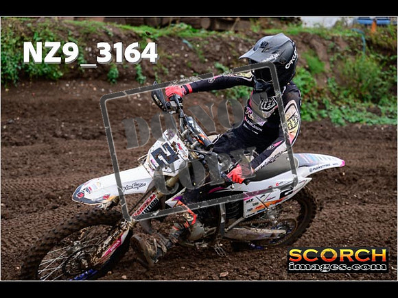 Experts-346