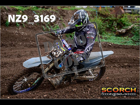 Experts-349