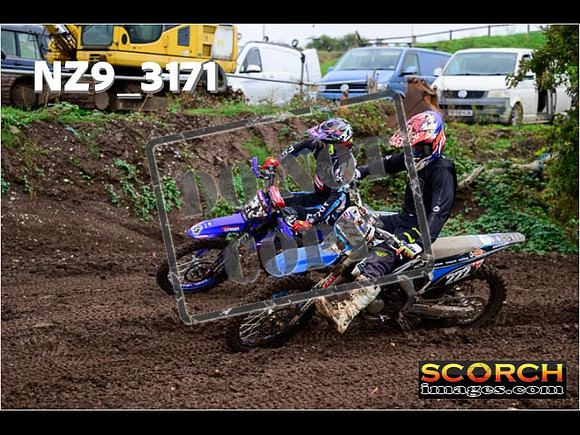 Experts-351